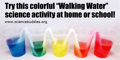 science buddies org|Science Experiments .
